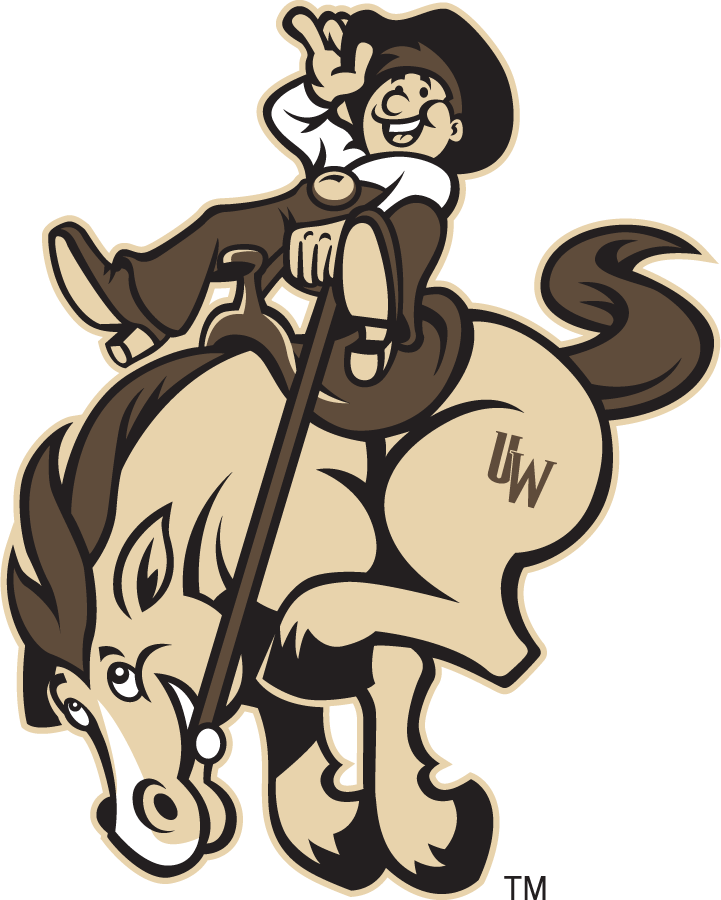 Wyoming Cowboys 2000-2007 Misc Logo diy DTF decal sticker